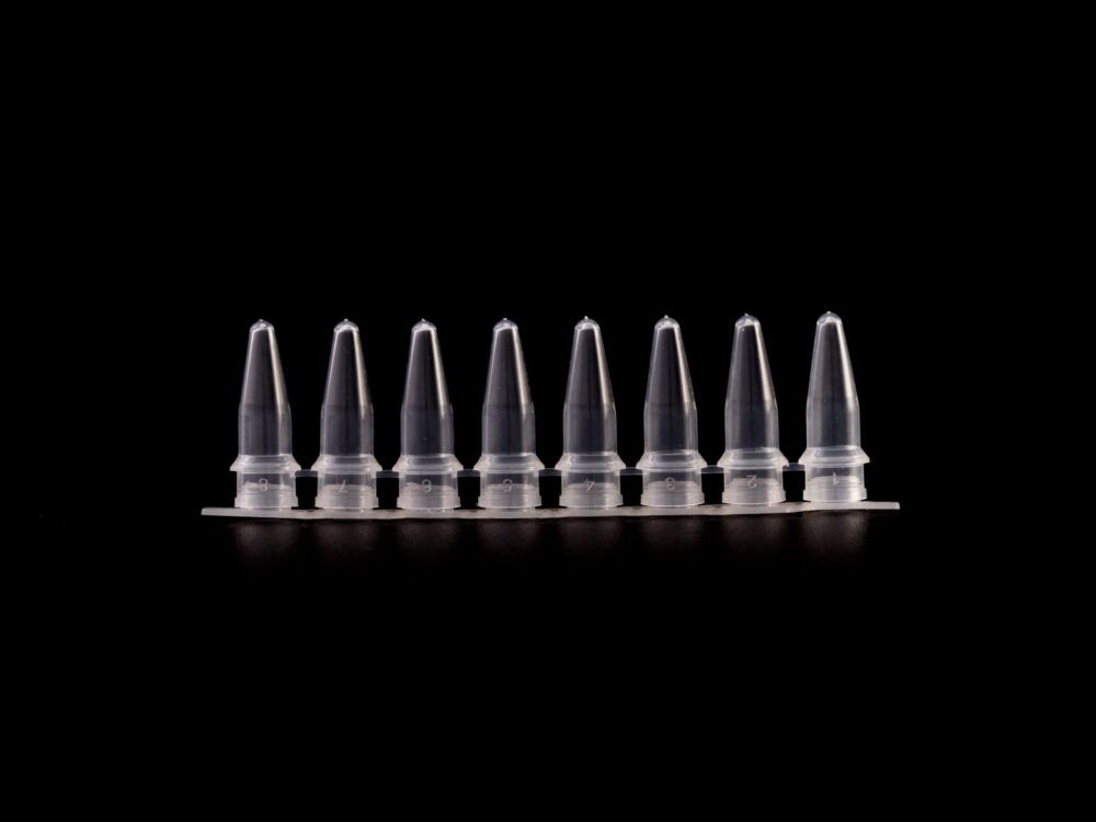 Kelabscience 0.2ml 8-Strip PCR Tubes with Flat Caps, Diagonal View