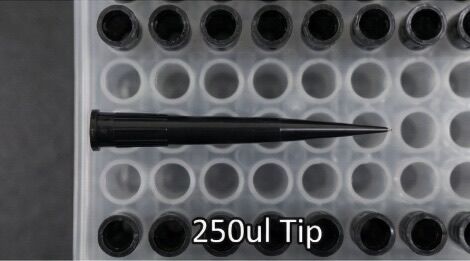 250 µL conductive pipette tip placed on pipette tip rack