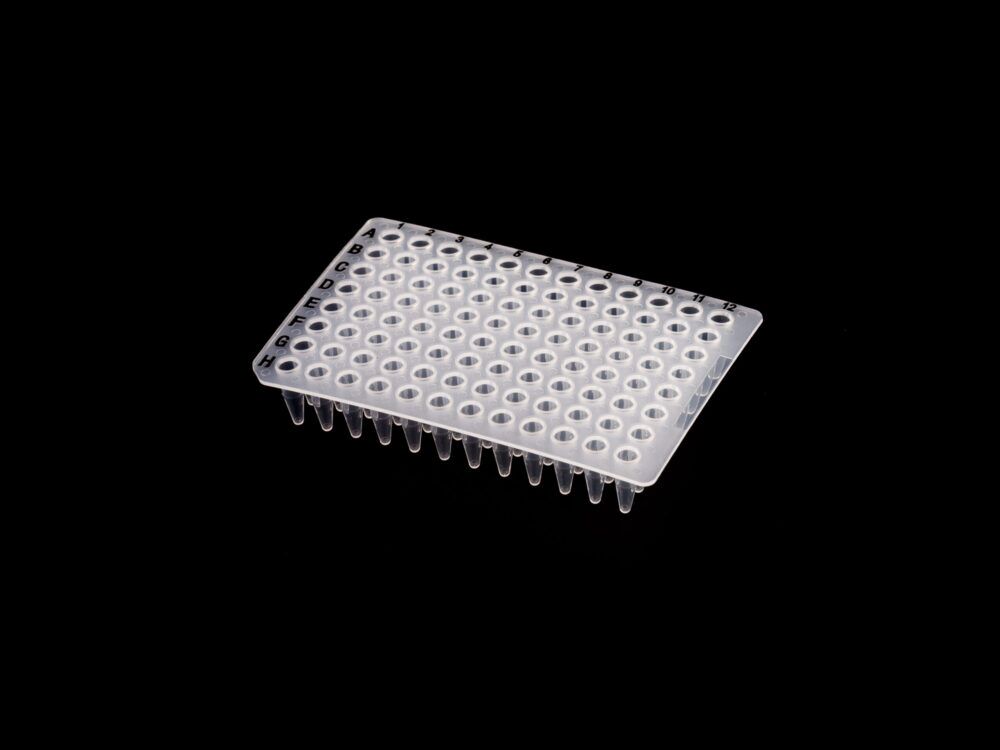 Kelabscience 0.2ml 96-Well PCR Plate Non-Skirted, Top View