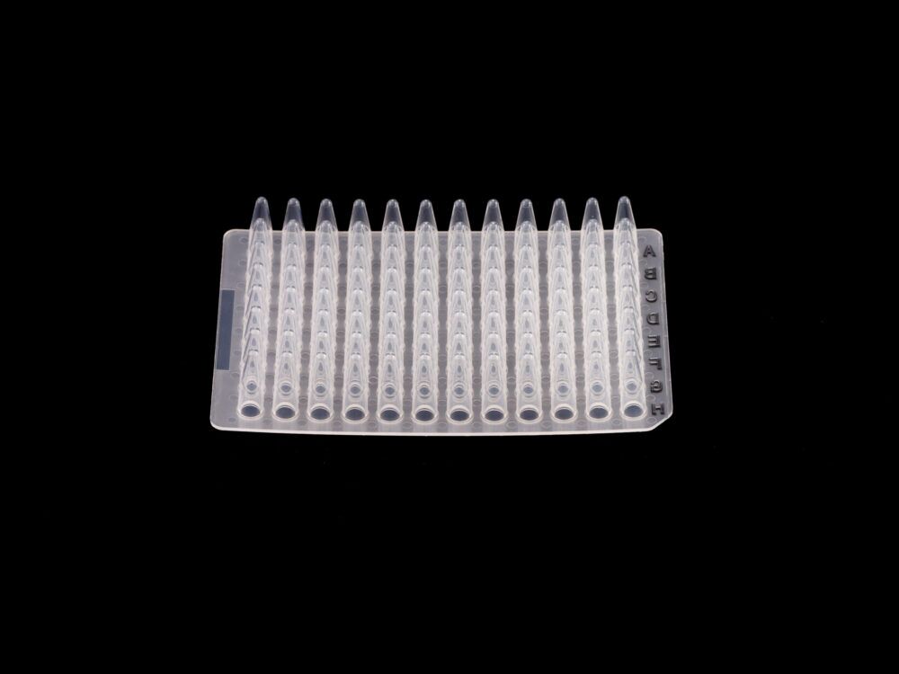 Kelabscience 0.2ml 96-Well PCR Plate Non-Skirted, Front Upright View