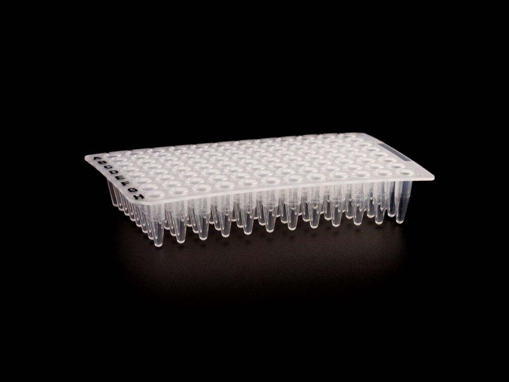Kelabscience 0.2ml 96-Well PCR Plate Non-Skirted, Angled View